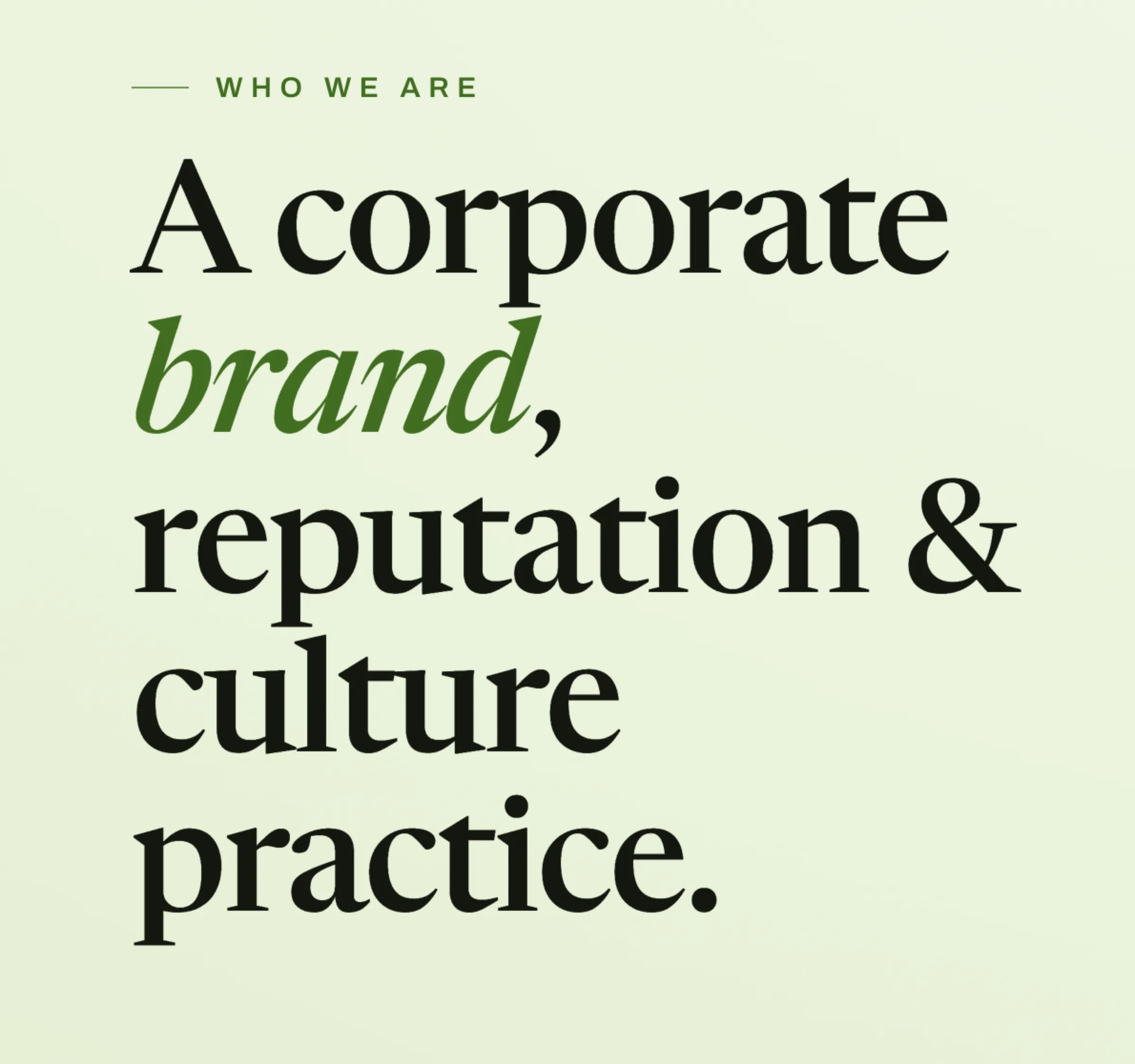 The Brand Institute — a corporate brand, reputation and culture practice